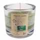 Green Tea HEVY-8 - STEARYNOWA świeca zapachowa